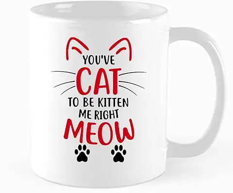 Funny Cat Mug You have Cat To Be Kitten Me Right Meow Coffee Mug Cat Lovers Gifts Best Cat Gift Gift Idea for Men or Women